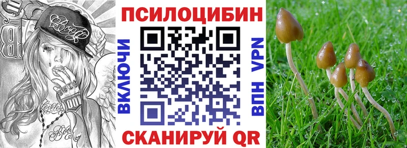 Галлюциногенные грибы GOLDEN TEACHER  Купить  Печоры 